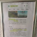 파파스라이어 이미지