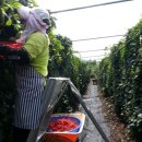 구암농장 이미지