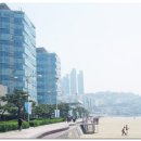 팔레드시즈 이미지