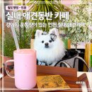 플라워리쉬 | 인천 실내 애견동반 카페｜마음으로가는 고향｜오프리쉬 잔디 운동장