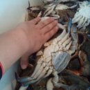 바다와푸른솔 이미지