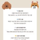 선릉동물병원 이미지