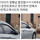 이서방치킨 - 청송군 | 이서방치킨
