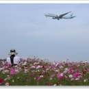 하늘정원2 이미지