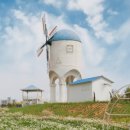 백화오락실 이미지