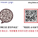 프로셀프세차，정비