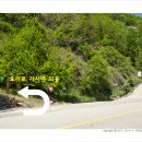 추성주유소 이미지