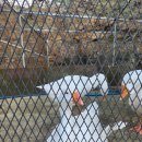 한우드림농장 | <여수> 여수 한우드림 후기, 체험 좋아하면 진짜 추천하고 싶은 곳