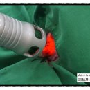 미드미 동물의료센터 이미지