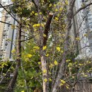 배봉산 | # 배봉산 둘레길 트레킹 후기_서울시 동대문구_2026.06.22