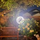 더로그제주 이미지