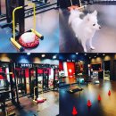 힐앤짐 프라이빗 휘트니스 이미지