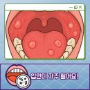 류마제통의원 이미지