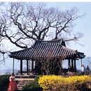 NR-24[죽향문화로]-상-88 | 슬로시티 담양