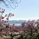 새영주시장 이미지