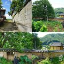 세종? 그곳이 알고싶다 이미지