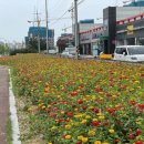 와동교차로 이미지