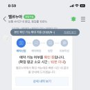 벨르누아