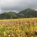 수성리경로당 이미지