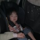 11650-7-36-5 | 아이랑 평일 에버랜드 사파리 자유이용권 할인 주차 후기 (36개월 미만 무료)