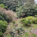 안덕면 감산리 재활용 도움센터 이미지