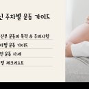 마포역PT 여성전용 PT샵 피트니스랩 아론코치가 알려주는 임신 주차별 안전 운동 가이드
