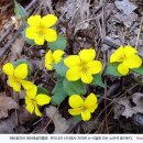 예심어린이집 이미지