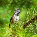 작전공원 이미지