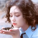 영선미용실 - 영천시 | 영선미용실