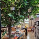 놀숲 아산탕정점 이미지