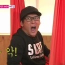 메이트플라잉요가