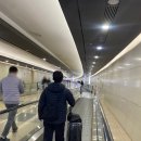 온누리카서비스 | 11월 제주도 여행 일정 코스 (1,2일차)