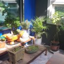 백두산 스크린 골프 이미지