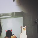 헬쓰인