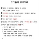 도그홀릭 이미지