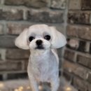 오도독뽀도독 이미지