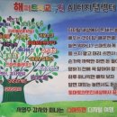 스마트폰 왕초보탈출 이미지