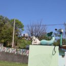 대룡축산 이미지