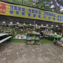 서울 우이동 계곡식당 미림산장 내돈내산 후기 여름엔 북한산계곡 물놀이