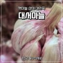햇마늘종 활용하기 좋은 난지형 대서마늘 구매 후기