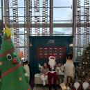 신화목욕탕 | 제주 신화월드 서머셋 겨울 방문 후기 (+댕냥별)