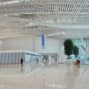 스위트 2.0 장거리 후기(인천 밴쿠버 왕복). KAL...공항 라운지, 밴쿠버 공항 패스트트랙, 아시아나 비교