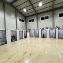 퍼피스카우트 이미지