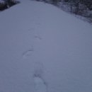 미숙농장 이미지