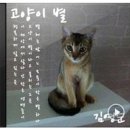 고양이 별 이미지