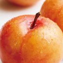 오도이촌 이미지