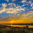 영산강서창들녘억새길 이미지