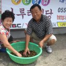 나루터식당 - 부여군 | 나루터식당