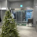 쿠키짐 | 오송 헬스장 쿠키짐 방문 후기 - 머신 구성부터 분위기까지 살펴보기