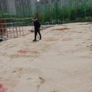 진영장등초중학교 이미지